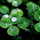 혜민서한의원 이미지