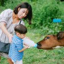 유현목장 Daum카페