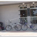 살다보면 이미지