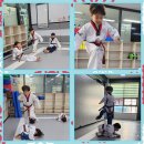 배곧 청록태권도장 이미지