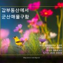 삼진공인중개사사무소 네이버블로그