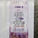 스마일풋