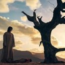 우정카센타 | 질 지니 (2025) 정보, 줄거리, 등장인물, 감상후기 - 김우빈, 수지, 노상현, 안은진 주연, 김은숙 작가...