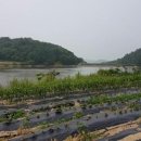 순재농장 이미지