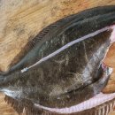 청정 자연을 품은 태안 해변 봄나들이 서해랑길 여정(#69) 이미지