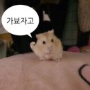 (주)라이브워크 | 목포 1박2일 여행코스 뚜벅이여행 평광포미아구찜 목포스카이워크 후기