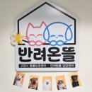 중부대 봉사자님들 감사합니다 이미지