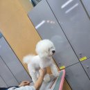 하대동333 이미지