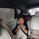 미스티 | [2026디올뉴셀토스] 루젠 차박커튼 햇빛가리개 미스티그레이 장착 후기