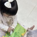 재미있는 그림책, 즐거운 책 놀이 | 유아책 놀이 웅진북클럽 오!플레잉 아기랑 재미있게 책놀이 습관 들이기