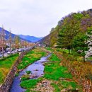 창녕 영산 만년교 이미지