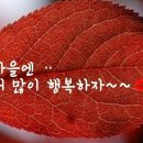 부울제 지리산 우중의 여행 스케치~♬ 이미지