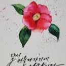 감성가득 수채 캘리그라피 이미지