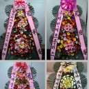 우림BYC 이미지