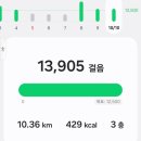 금산보건지소 | 2025.10.10. 춘천 서면 주변 트래킹 후기
