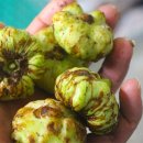 충영농장 이미지