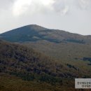 225차 산행은 긴 숲길을 걸어서 만나는 반가운 노로오름 이미지