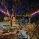 숲속정원펜션 이미지