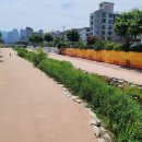 백석근린공원 이미지