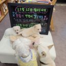 백암동물병원 이미지