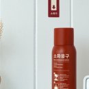세이프티 코리아