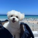 은자목장 | 제주, 희준과 함께