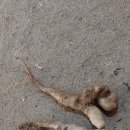 알뜰농장 이미지