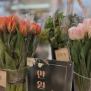 전라남도 완도군 완도읍 중앙초등학교 거리 | 꽃배달 아내의정원 완도 완도읍 가격 후기