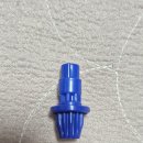 옐로우샤크 이미지