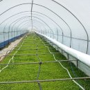 박태원농장 이미지