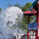 강원도힐링캠핑장 이미지