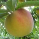 만물카센터 이미지