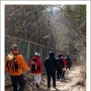 서리풀공원1-1 이미지