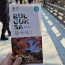 9개월 만삭 임산부 1박2일 경주여행☺️