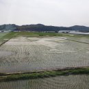 그림뜰아트