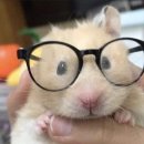 으뜸50안경 마들점 이미지