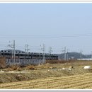 주라위삼거리 이미지