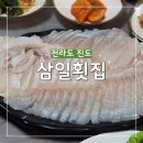 진도 삼일횟집솔직후기 시부모님도 반한 신선한 해산물과 낙지볶음맛집