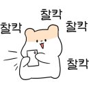 포동충무김밥 - 서구 충무시장길 34 | 포동충무김밥