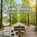 메타세콰이어 화장실 | 진안 부귀 메타세콰이어길 봄 풍경 후기 🌿 연둣빛 산책 코스 + 부귀면민의 날 행사 정보[Kwater서포터즈...