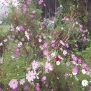 가평황토민박 이미지