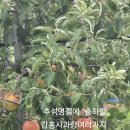 산너울농원 Daum카페