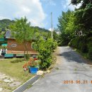 황룡뿌리(흑염소농장) 이미지