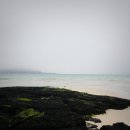 동홍동 1460-9 | [5월 19일~21일 커플 여행기] 셋째날, 푸른빛 제주 보기