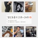 이마트24주안대로점 | 9. 임신초중기 21주~24주 일상 (정밀초음파 임당검사 베이비페어)
