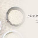 나무앤케어하우스 이미지