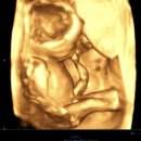 메디렌느산부인과의원 이미지