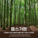 뉴러브몰 이미지