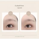 라베느래쉬