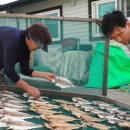 추도민박 이미지